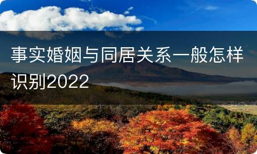 事实婚姻与同居关系一般怎样识别2022