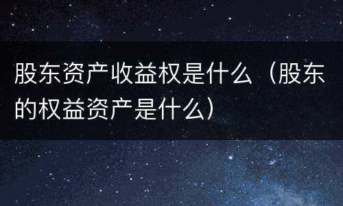 股东资产收益权是什么（股东的权益资产是什么）