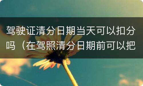 驾驶证清分日期当天可以扣分吗（在驾照清分日期前可以把分都扣完吗）