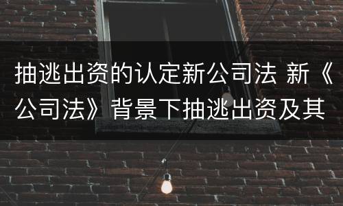 抽逃出资的认定新公司法 新《公司法》背景下抽逃出资及其法律责任