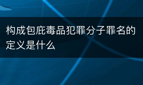 构成包庇毒品犯罪分子罪名的定义是什么
