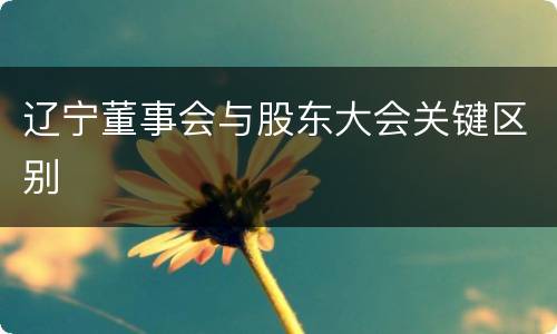 辽宁董事会与股东大会关键区别
