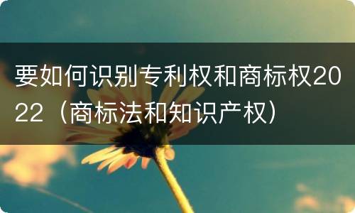 要如何识别专利权和商标权2022（商标法和知识产权）