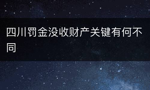 四川罚金没收财产关键有何不同