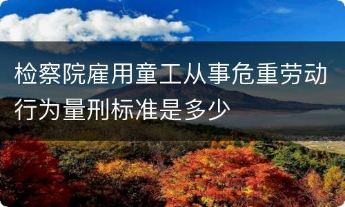 检察院雇用童工从事危重劳动行为量刑标准是多少