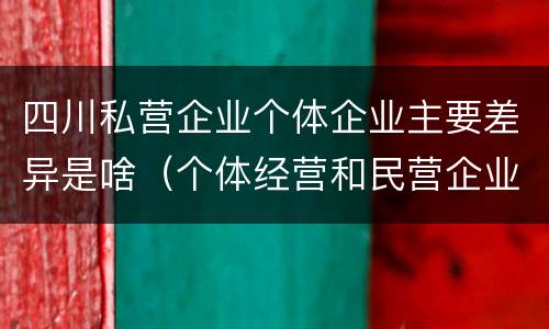 四川私营企业个体企业主要差异是啥（个体经营和民营企业的区别）