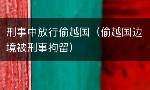 刑事中放行偷越国（偷越国边境被刑事拘留）