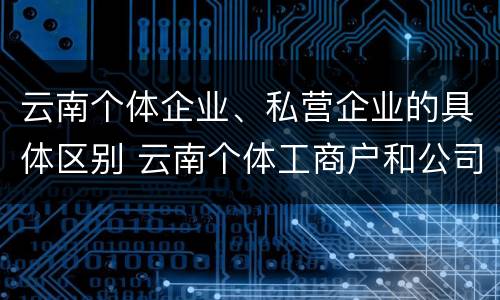 云南个体企业、私营企业的具体区别 云南个体工商户和公司