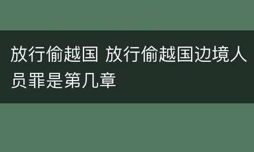 放行偷越国 放行偷越国边境人员罪是第几章