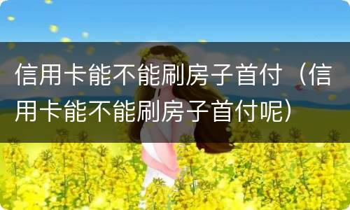信用卡能不能刷房子首付（信用卡能不能刷房子首付呢）