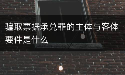 骗取票据承兑罪的主体与客体要件是什么