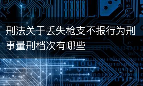 刑法关于丢失枪支不报行为刑事量刑档次有哪些