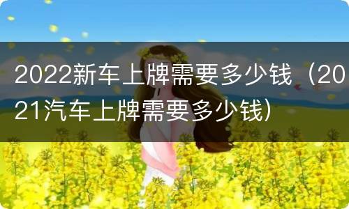 2022新车上牌需要多少钱（2021汽车上牌需要多少钱）