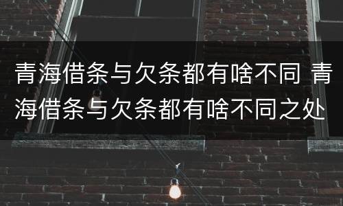 青海借条与欠条都有啥不同 青海借条与欠条都有啥不同之处