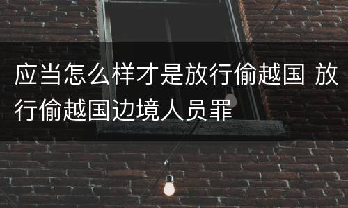 应当怎么样才是放行偷越国 放行偷越国边境人员罪