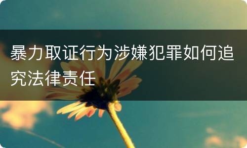 暴力取证行为涉嫌犯罪如何追究法律责任