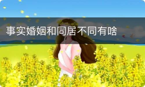 事实婚姻和同居不同有啥