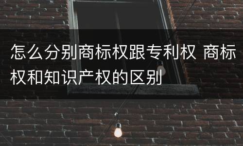 怎么分别商标权跟专利权 商标权和知识产权的区别