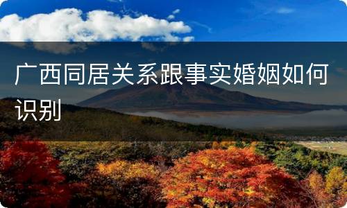 广西同居关系跟事实婚姻如何识别