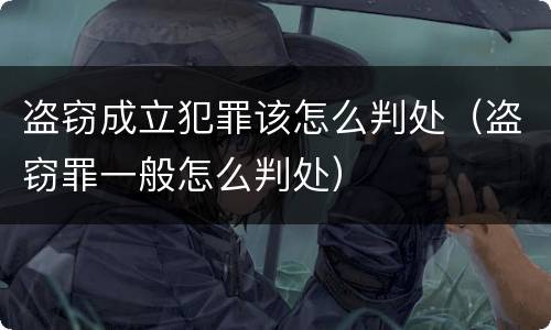 盗窃成立犯罪该怎么判处（盗窃罪一般怎么判处）