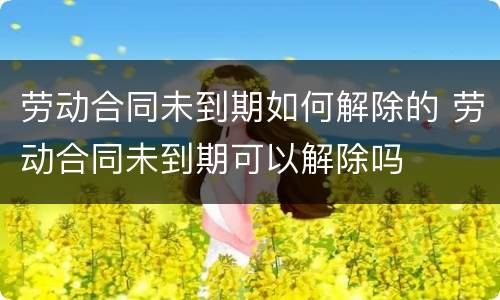 劳动合同未到期如何解除的 劳动合同未到期可以解除吗