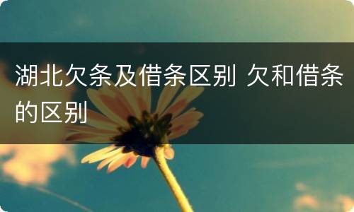 湖北欠条及借条区别 欠和借条的区别