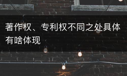 著作权、专利权不同之处具体有啥体现