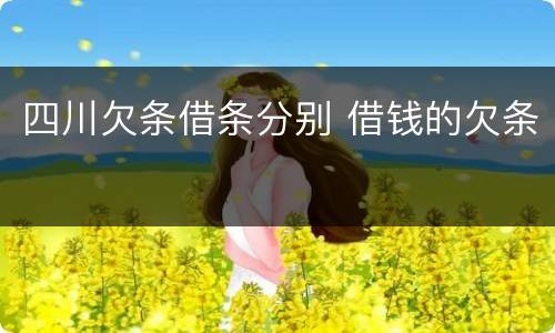 四川欠条借条分别 借钱的欠条