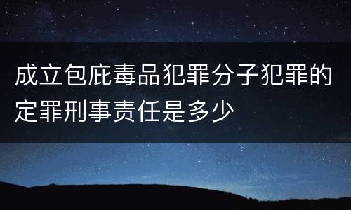成立包庇毒品犯罪分子犯罪的定罪刑事责任是多少