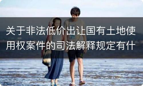 关于非法低价出让国有土地使用权案件的司法解释规定有什么主要内容