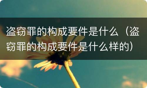 盗窃罪的构成要件是什么（盗窃罪的构成要件是什么样的）