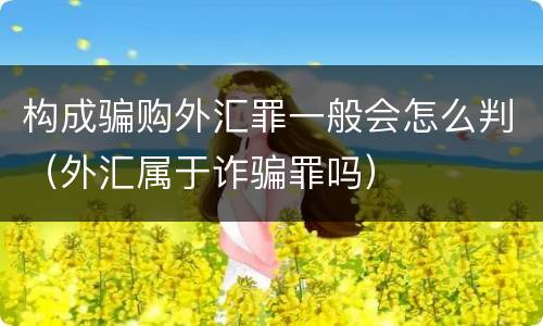 构成骗购外汇罪一般会怎么判（外汇属于诈骗罪吗）