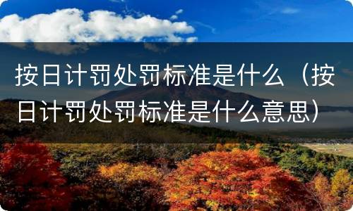 按日计罚处罚标准是什么（按日计罚处罚标准是什么意思）