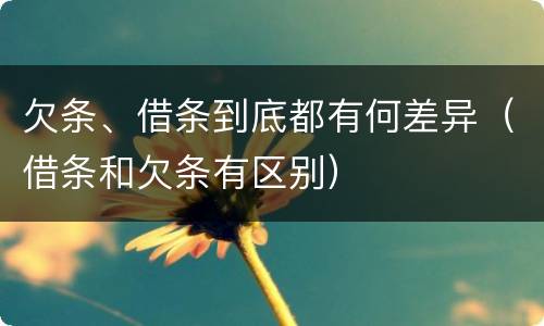 欠条、借条到底都有何差异（借条和欠条有区别）