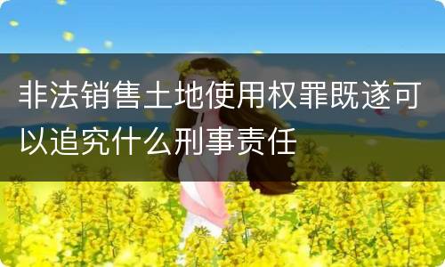 非法销售土地使用权罪既遂可以追究什么刑事责任