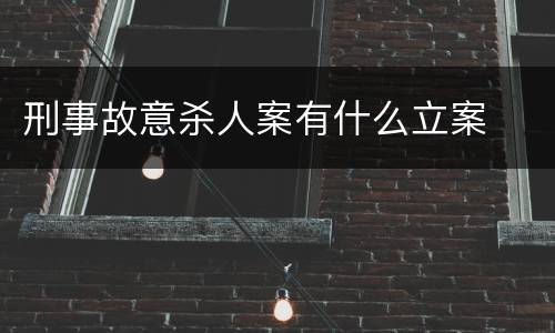 刑事故意杀人案有什么立案