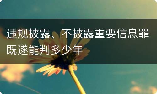 违规披露、不披露重要信息罪既遂能判多少年