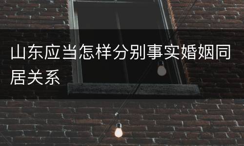 山东应当怎样分别事实婚姻同居关系