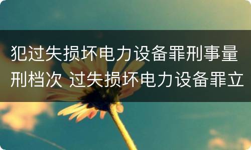 犯过失损坏电力设备罪刑事量刑档次 过失损坏电力设备罪立案标准