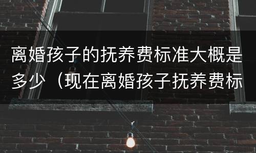 离婚孩子的抚养费标准大概是多少（现在离婚孩子抚养费标准是多少）