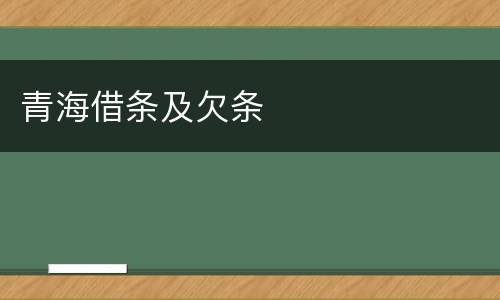 青海借条及欠条