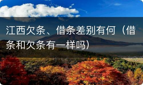 江西欠条、借条差别有何（借条和欠条有一样吗）