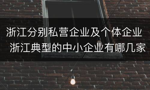 浙江分别私营企业及个体企业 浙江典型的中小企业有哪几家