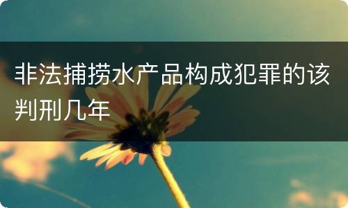非法捕捞水产品构成犯罪的该判刑几年