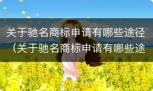 关于驰名商标申请有哪些途径（关于驰名商标申请有哪些途径和方法）