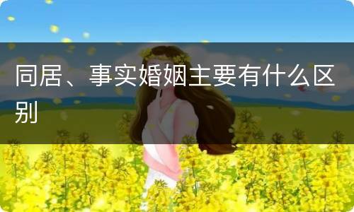同居、事实婚姻主要有什么区别