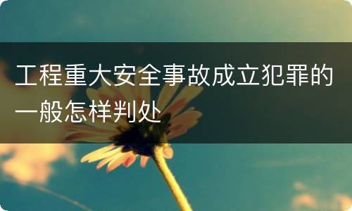工程重大安全事故成立犯罪的一般怎样判处