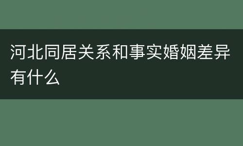 河北同居关系和事实婚姻差异有什么