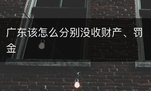 广东该怎么分别没收财产、罚金