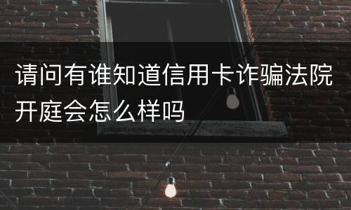 请问有谁知道信用卡诈骗法院开庭会怎么样吗